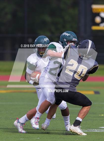 Thumbnail 3 in William Floyd @ Commack photogallery.