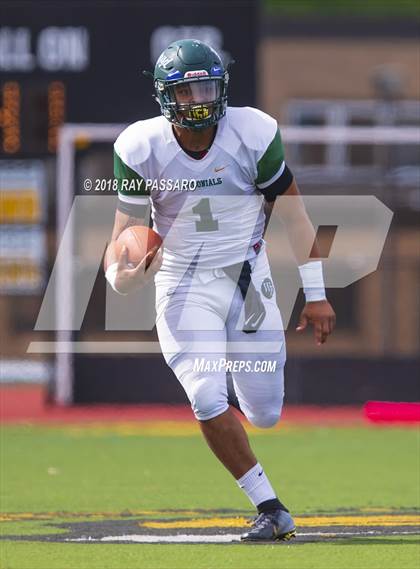 Thumbnail 1 in William Floyd @ Commack photogallery.