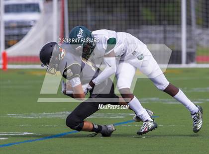 Thumbnail 1 in William Floyd @ Commack photogallery.