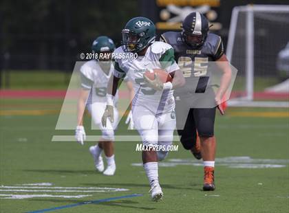 Thumbnail 2 in William Floyd @ Commack photogallery.