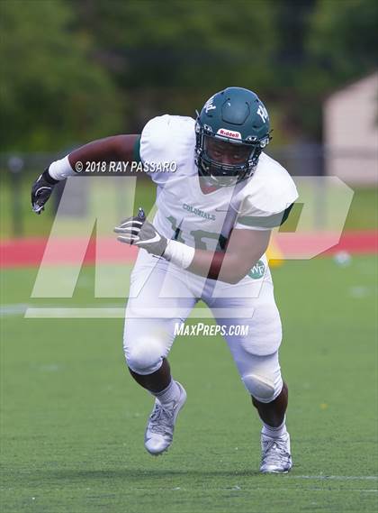 Thumbnail 3 in William Floyd @ Commack photogallery.