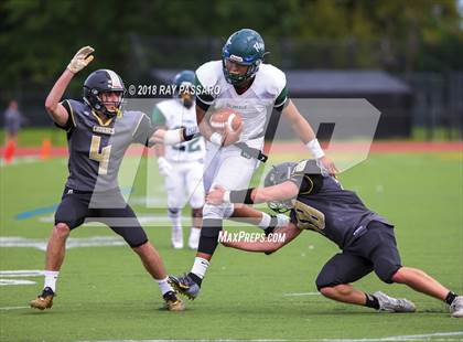 Thumbnail 1 in William Floyd @ Commack photogallery.