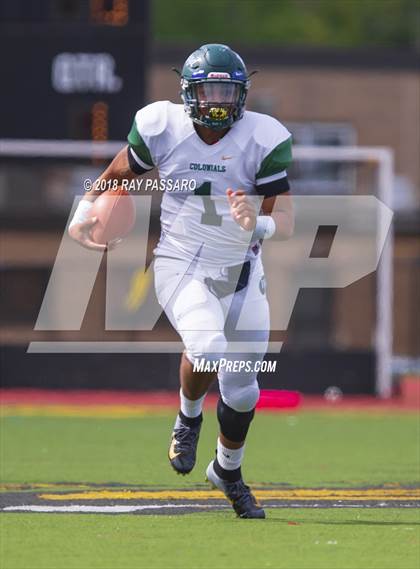 Thumbnail 2 in William Floyd @ Commack photogallery.