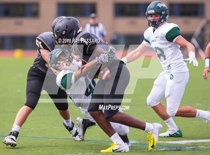 Thumbnail 2 in William Floyd @ Commack photogallery.