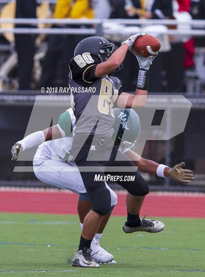 Thumbnail 1 in William Floyd @ Commack photogallery.