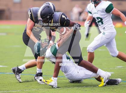 Thumbnail 1 in William Floyd @ Commack photogallery.