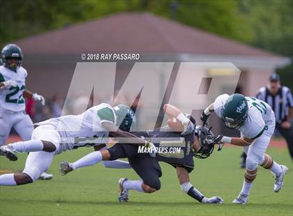 Thumbnail 2 in William Floyd @ Commack photogallery.