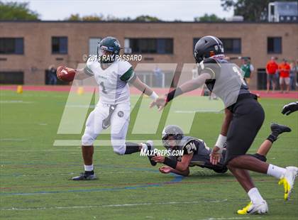 Thumbnail 1 in William Floyd @ Commack photogallery.