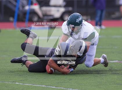 Thumbnail 1 in William Floyd @ Commack photogallery.