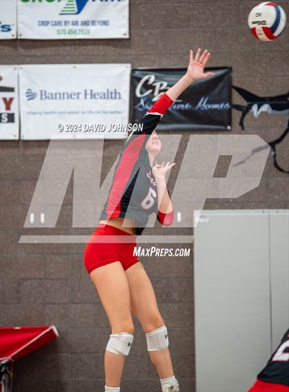 Thumbnail 2 in Alamosa @ Eaton photogallery.