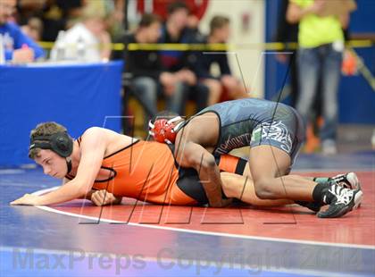 Thumbnail 1 in Northern Nevada Division 1 Regional Wrestling Tournament (Day 1) photogallery.