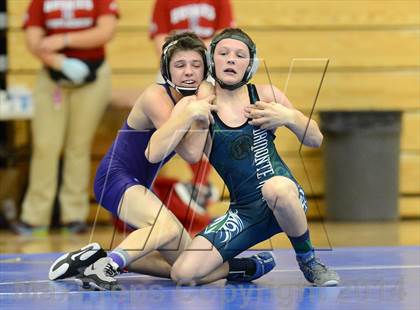 Thumbnail 2 in Northern Nevada Division 1 Regional Wrestling Tournament (Day 1) photogallery.