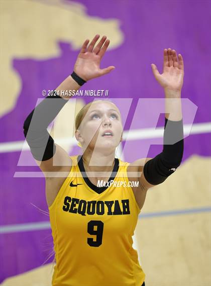 Thumbnail 3 in Sequoyah @ Cartersville photogallery.
