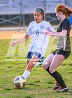 Photo from the gallery "Purnell Swett @ Gray's Creek"