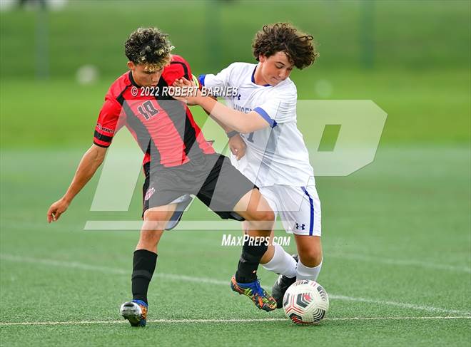 null - Photo 01