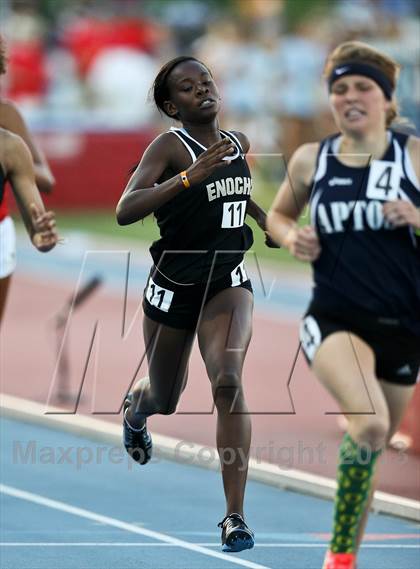 Thumbnail 2 in CIF State Track and Field (Girls 800m Run) photogallery.