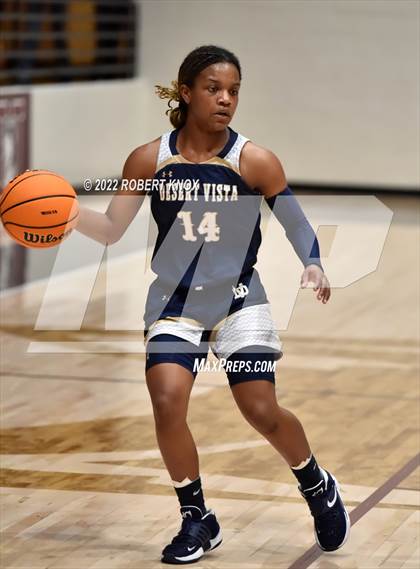 Thumbnail 2 in Desert Vista @ Hamilton (AIA 6A Quarterfinal Playoff) photogallery.