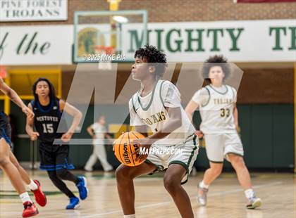 Thumbnail 2 in JV: Westover @ Pine Forest photogallery.