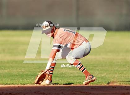 Thumbnail 3 in Lennard @ Armwood photogallery.