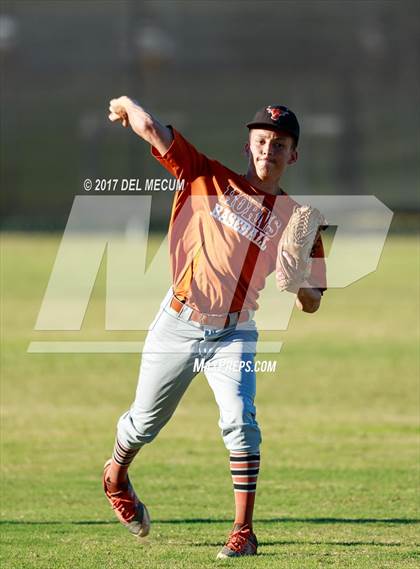 Thumbnail 2 in Lennard @ Armwood photogallery.