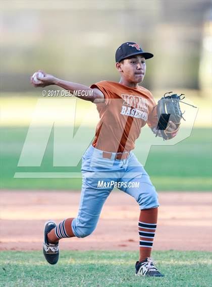 Thumbnail 1 in Lennard @ Armwood photogallery.