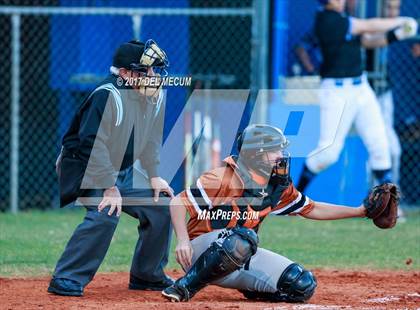 Thumbnail 3 in Lennard @ Armwood photogallery.