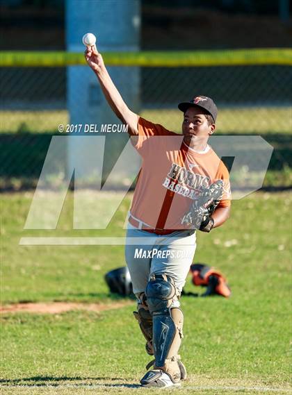 Thumbnail 1 in Lennard @ Armwood photogallery.