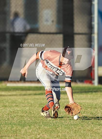 Thumbnail 1 in Lennard @ Armwood photogallery.