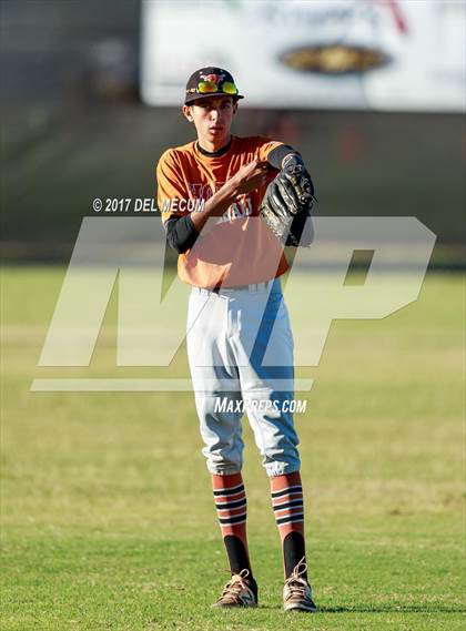Thumbnail 1 in Lennard @ Armwood photogallery.