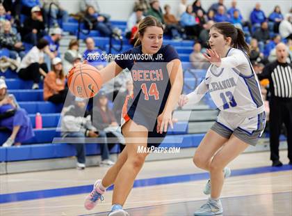 Thumbnail 2 in Beech @ Lebanon photogallery.