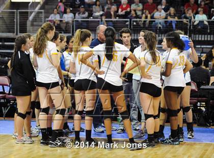 Thumbnail 2 in Phoenix Country Day vs. Valley Christian (AIA D4 Playoff) photogallery.