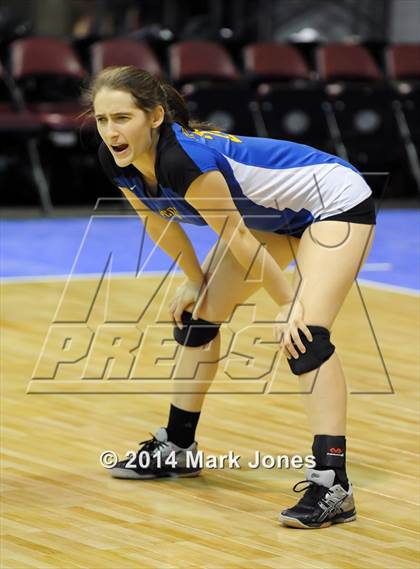 Thumbnail 1 in Phoenix Country Day vs. Valley Christian (AIA D4 Playoff) photogallery.