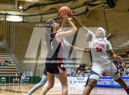Thumbnail 1 in Liverpool vs. Syosset (NYSPHSAA Class AAA State Semi-Final) photogallery.