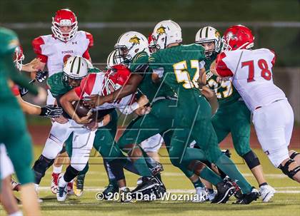 Thumbnail 2 in Ponder @ Benbrook photogallery.