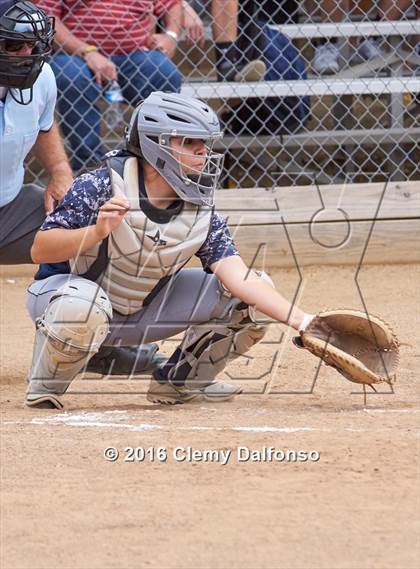 Thumbnail 1 in Columbine @ Chatfield photogallery.