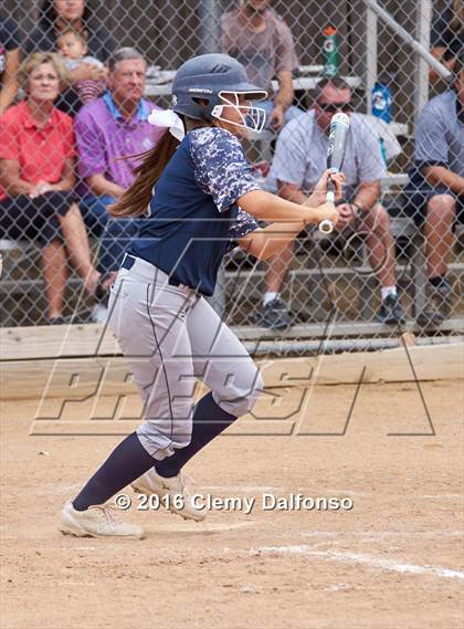 Thumbnail 2 in Columbine @ Chatfield photogallery.