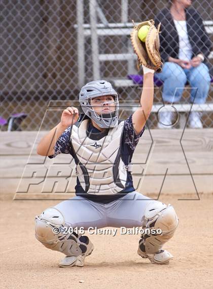Thumbnail 3 in Columbine @ Chatfield photogallery.