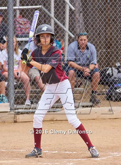 Thumbnail 3 in Columbine @ Chatfield photogallery.