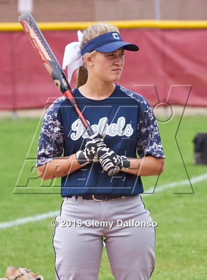 Thumbnail 2 in Columbine @ Chatfield photogallery.