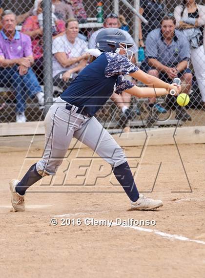 Thumbnail 2 in Columbine @ Chatfield photogallery.
