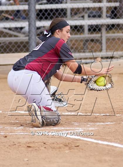 Thumbnail 3 in Columbine @ Chatfield photogallery.