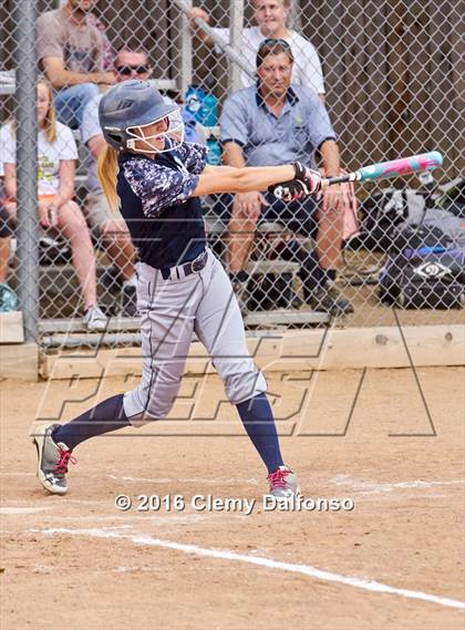 Thumbnail 3 in Columbine @ Chatfield photogallery.