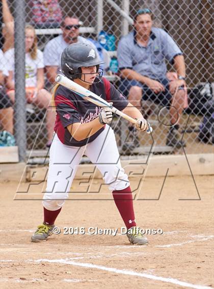Thumbnail 1 in Columbine @ Chatfield photogallery.