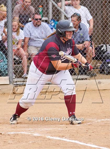 Thumbnail 3 in Columbine @ Chatfield photogallery.