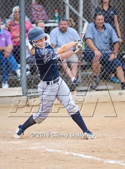 Thumbnail 3 in Columbine @ Chatfield photogallery.