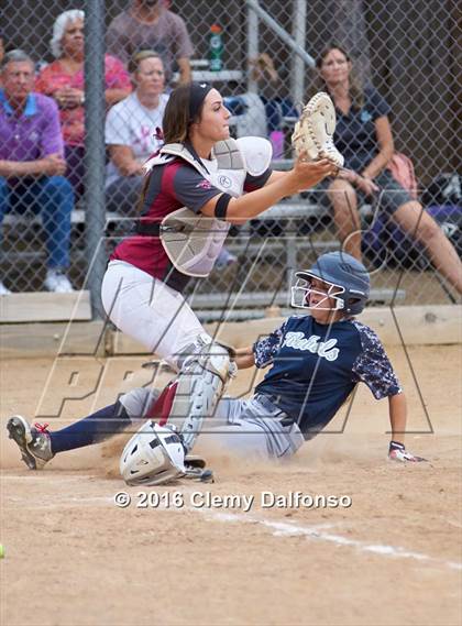 Thumbnail 2 in Columbine @ Chatfield photogallery.