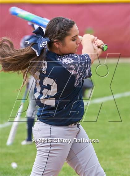 Thumbnail 1 in Columbine @ Chatfield photogallery.