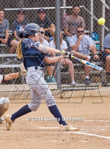 Thumbnail 2 in Columbine @ Chatfield photogallery.