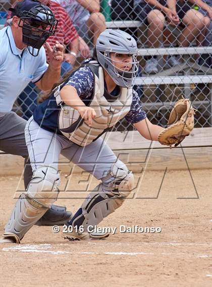 Thumbnail 2 in Columbine @ Chatfield photogallery.