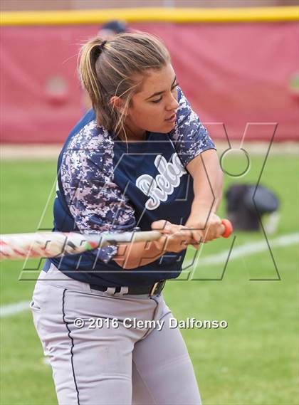 Thumbnail 2 in Columbine @ Chatfield photogallery.